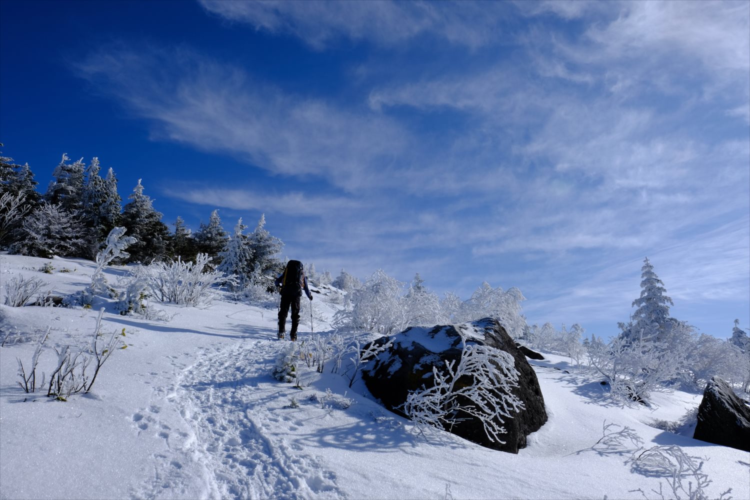 厳冬期 雪山登山 四阿山 雪原ハイクと北アルプスの好展望 静かな山の頂へ