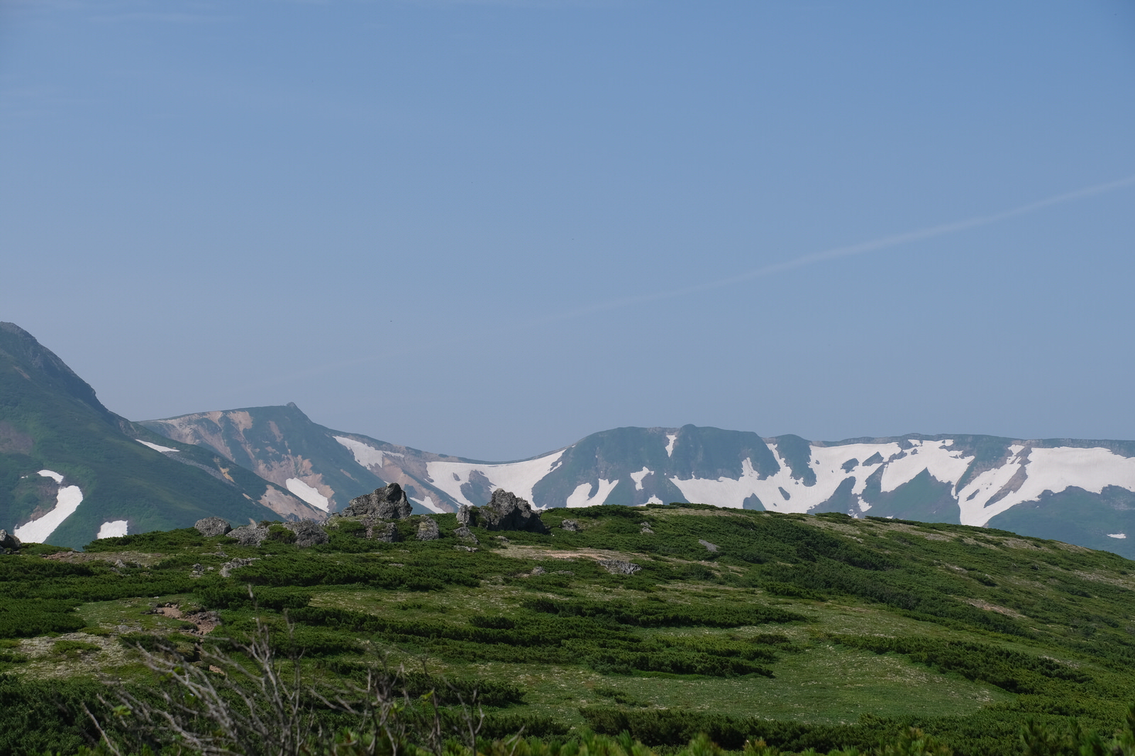夏山登山 大雪山縦走 お花畑と広大な大地 2ページ目 3ページ中 静かな山の頂へ