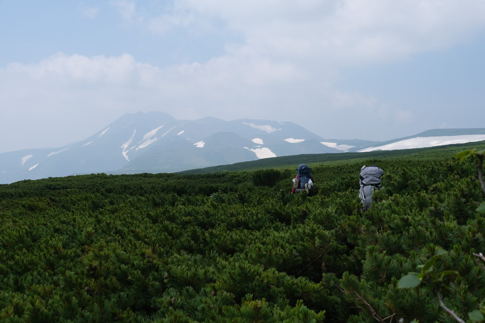 夏山登山 大雪山縦走 お花畑と広大な大地 2ページ目 3ページ中 静かな山の頂へ