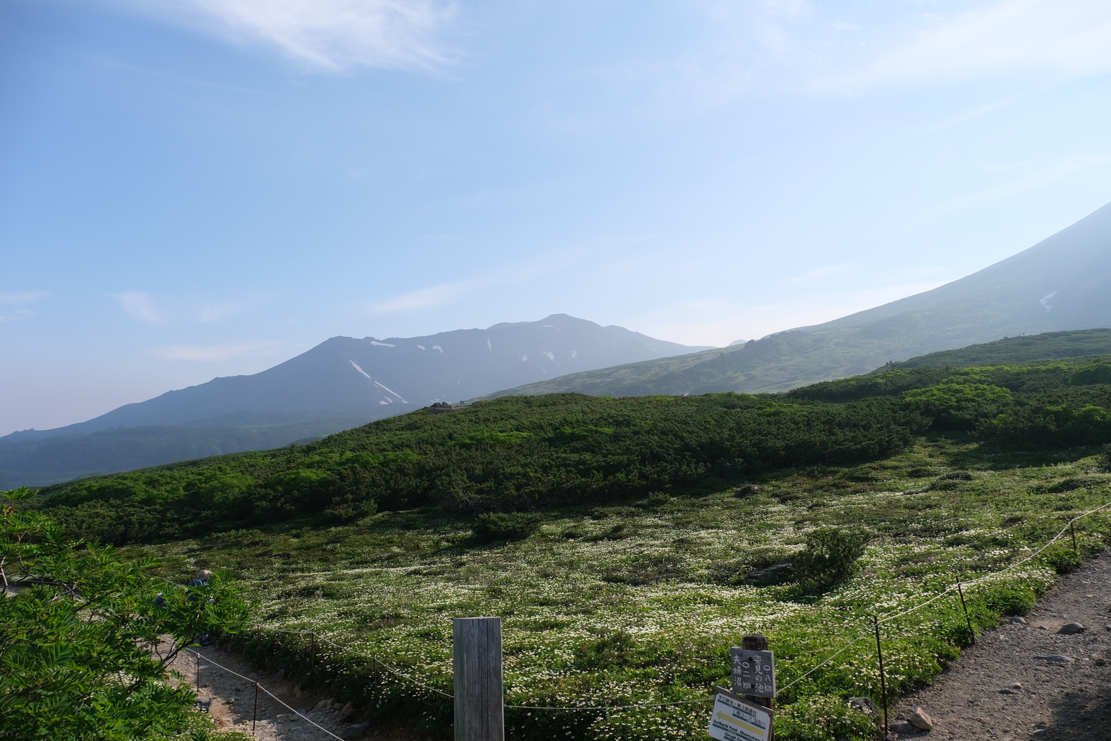 夏山登山 大雪山縦走 お花畑と広大な大地 静かな山の頂へ