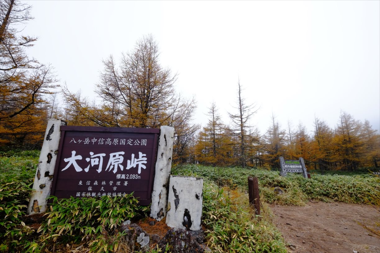 秋山登山 北八ヶ岳縦走 数多の池とピークを辿る旅 静かな山の頂へ