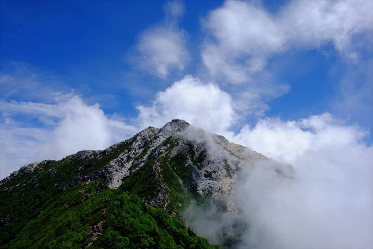 夏山登山 甲斐駒ヶ岳 仙丈ケ岳 海の日に行く標高3 000mの高山植物天国 静かな山の頂へ 夏山登山 甲斐駒ヶ岳 仙丈ケ岳 海の日に行く標高3 000mの高山植物天国 静かな山の頂へ