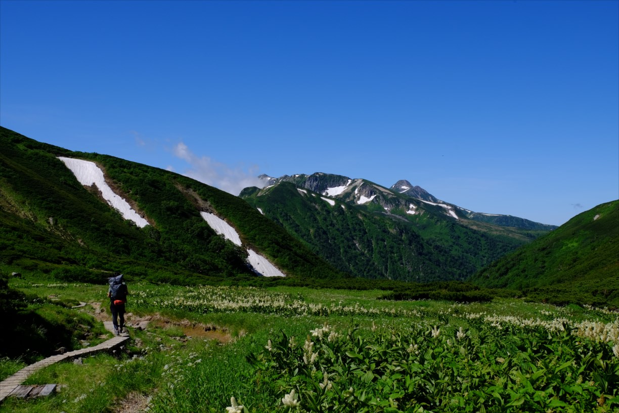 夏山登山 裏銀座縦走コース 北アルプス屈指のロングコースと雷鳥の親子 3ページ目 3ページ中 静かな山の頂へ