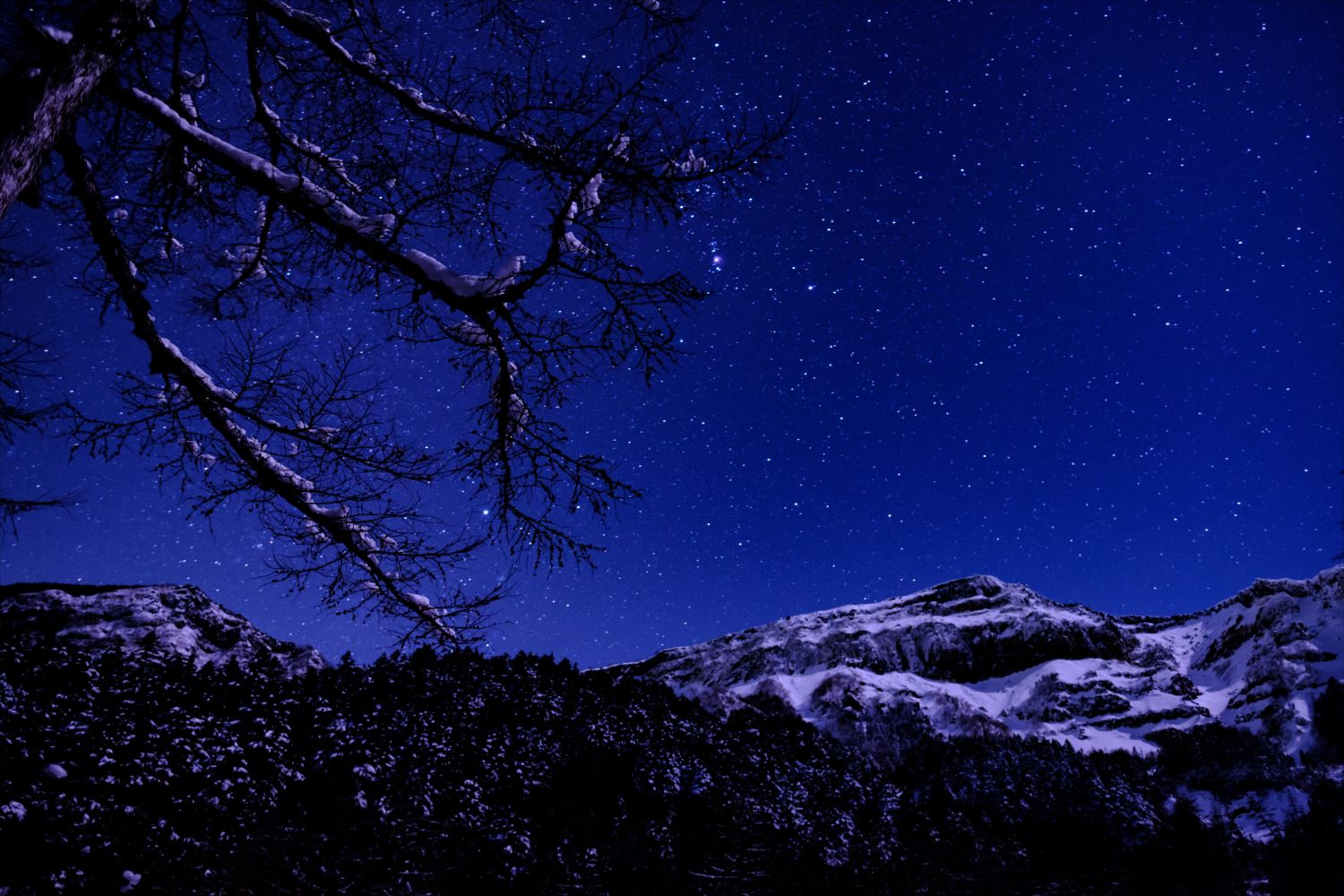 【厳冬期・雪山登山】硫黄岳・天狗岳 (51)