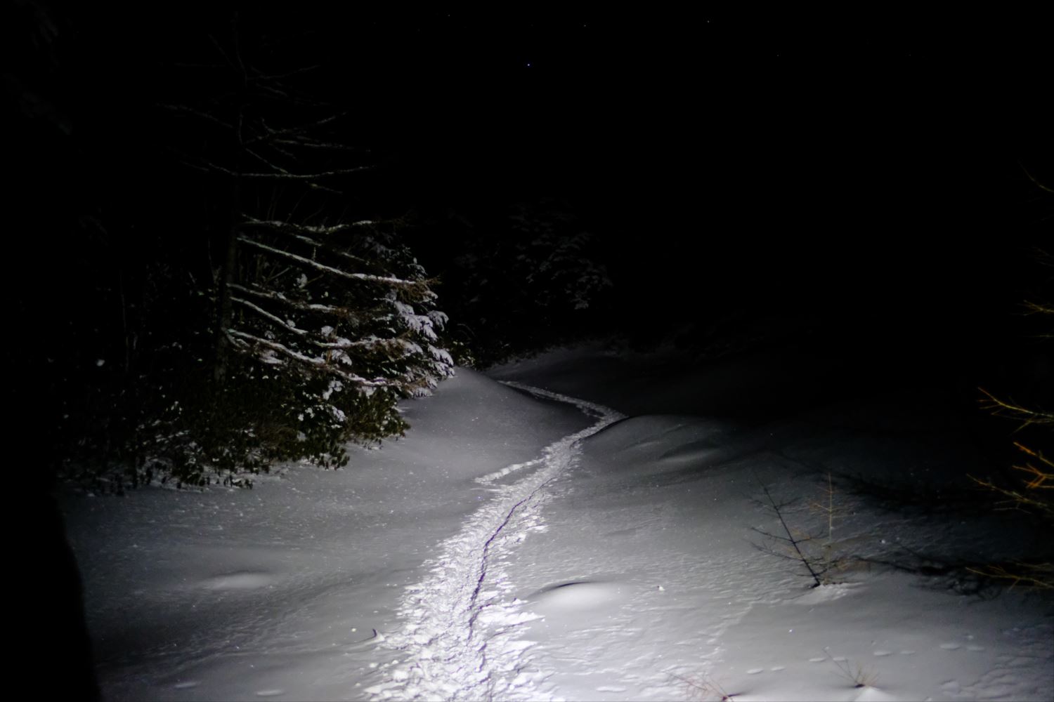 【厳冬期・雪山登山】硫黄岳・天狗岳 (54)