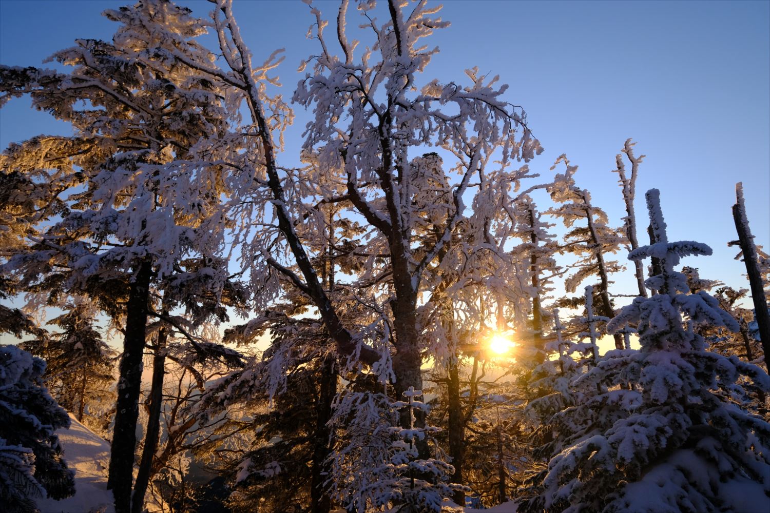 【厳冬期・雪山登山】硫黄岳・天狗岳 (60)