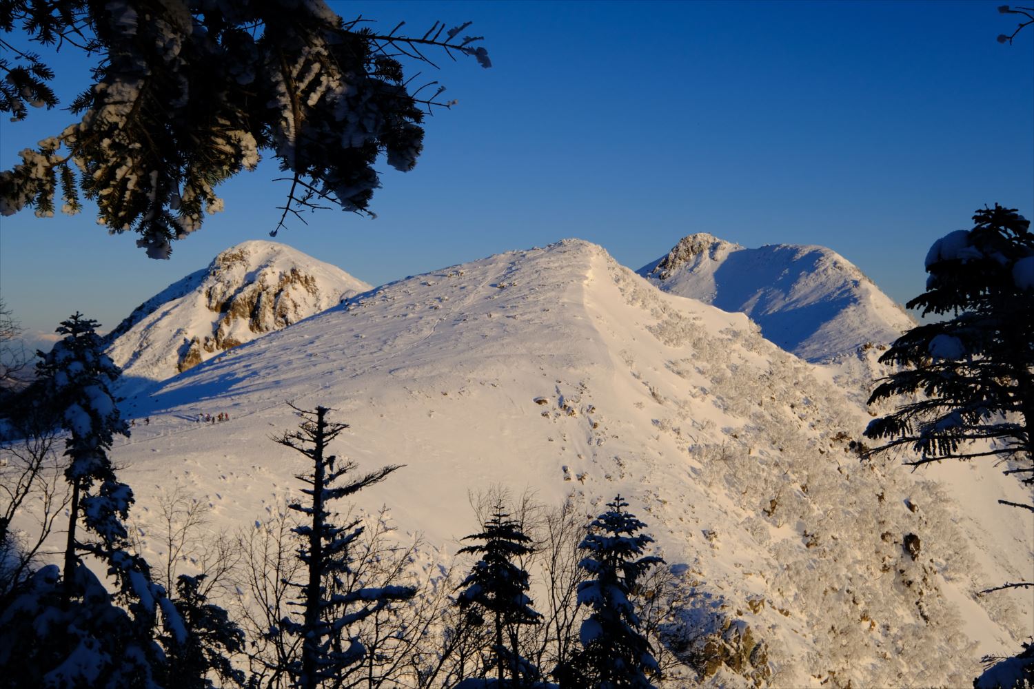 【厳冬期・雪山登山】硫黄岳・天狗岳 (63)
