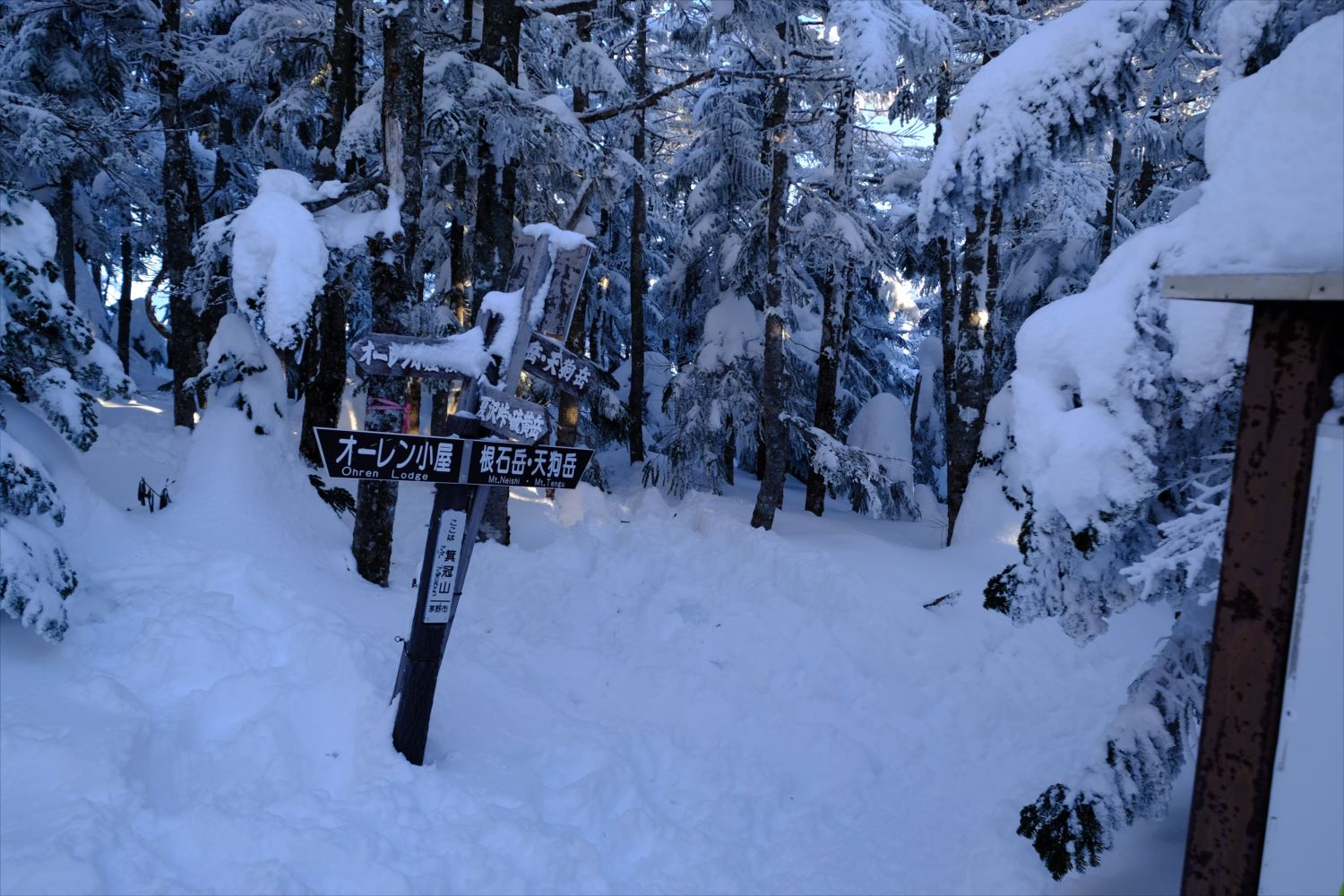 【厳冬期・雪山登山】硫黄岳・天狗岳 (64)