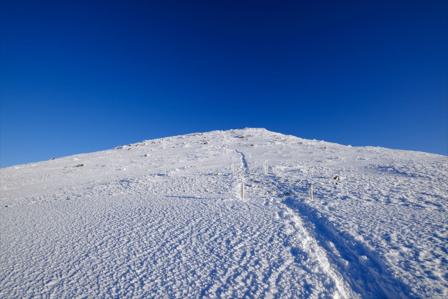 【厳冬期・雪山登山】硫黄岳・天狗岳 (67)