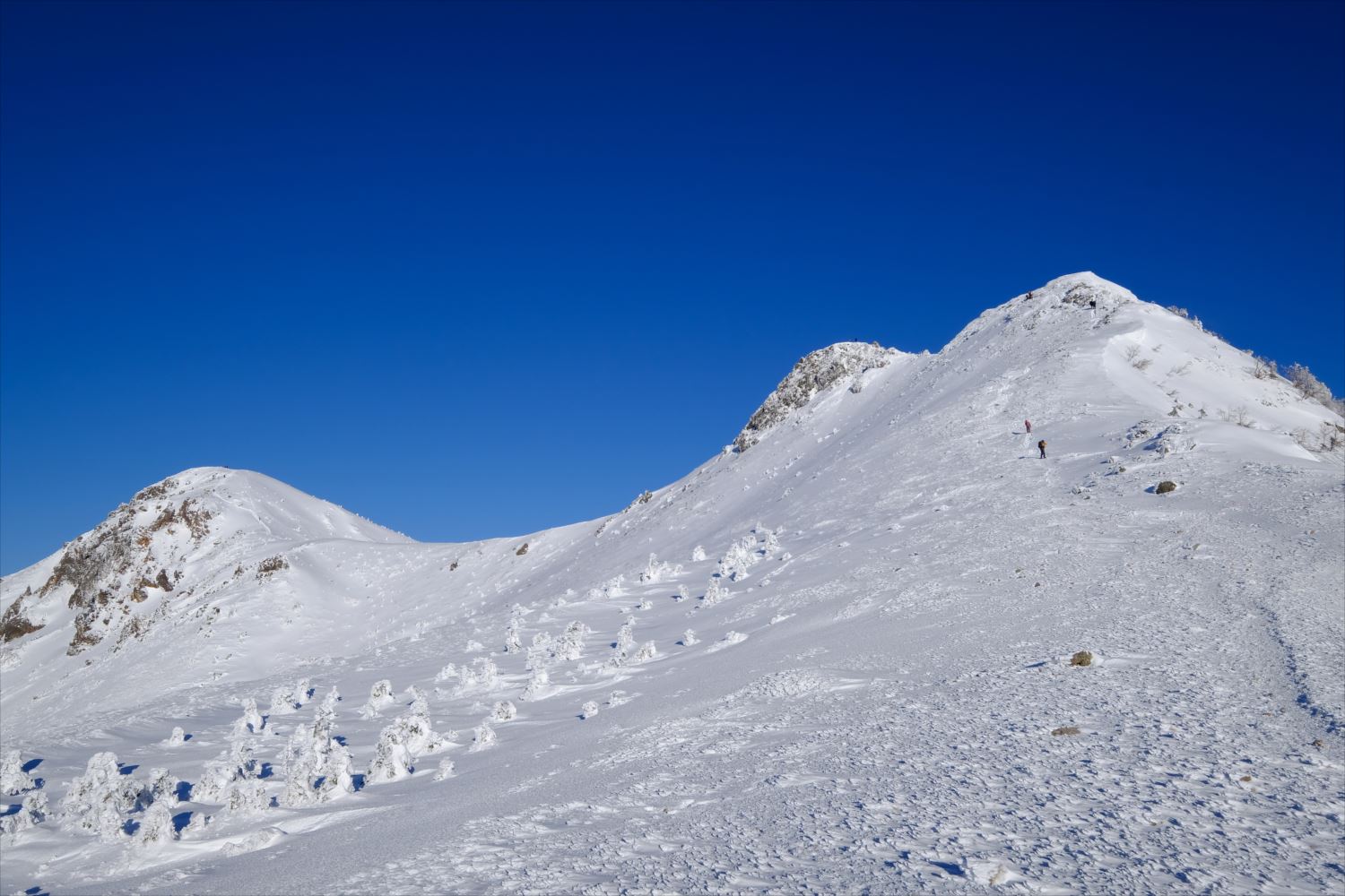 【厳冬期・雪山登山】硫黄岳・天狗岳 (72)