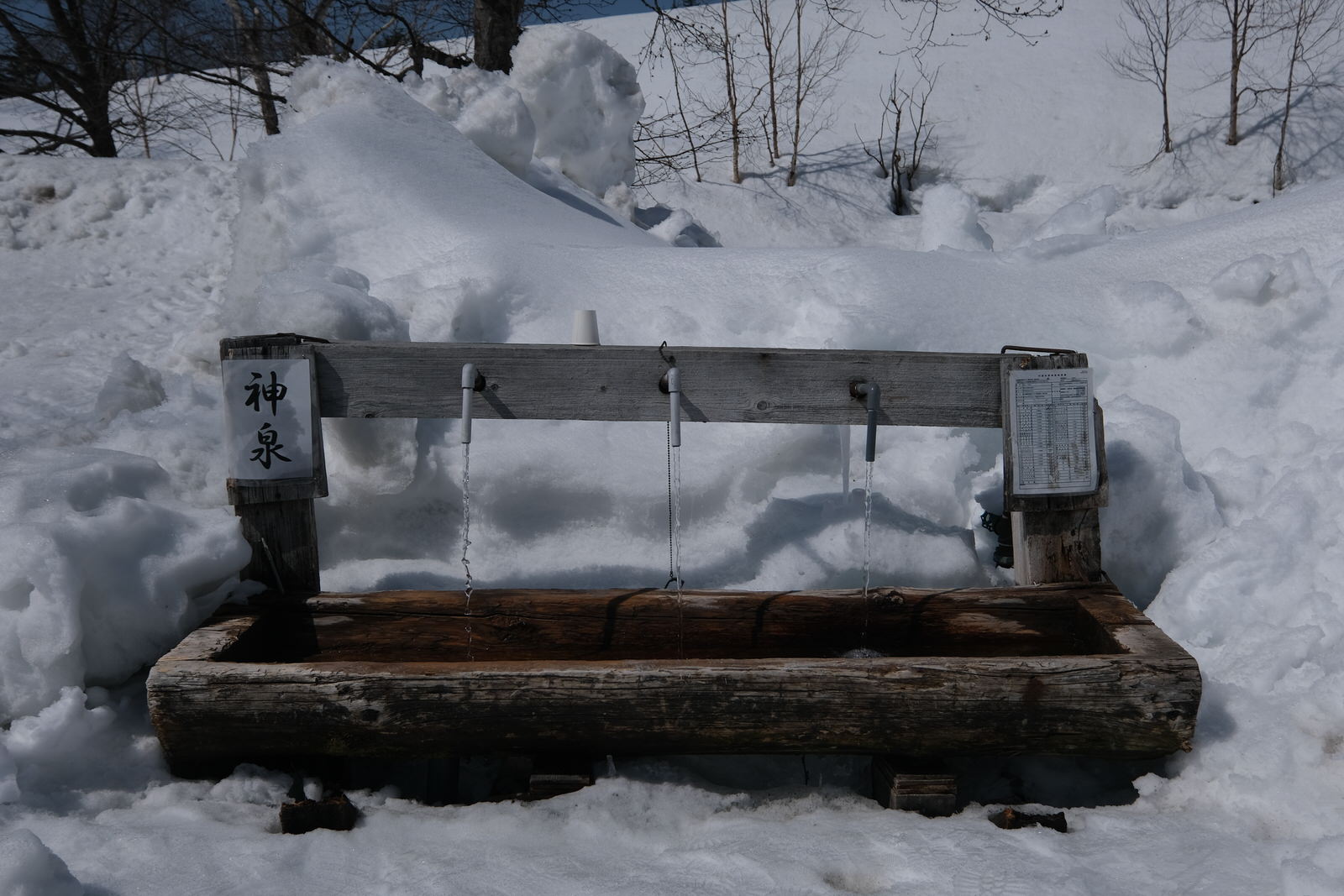 【残雪期・雪山登山】旭岳 (90)