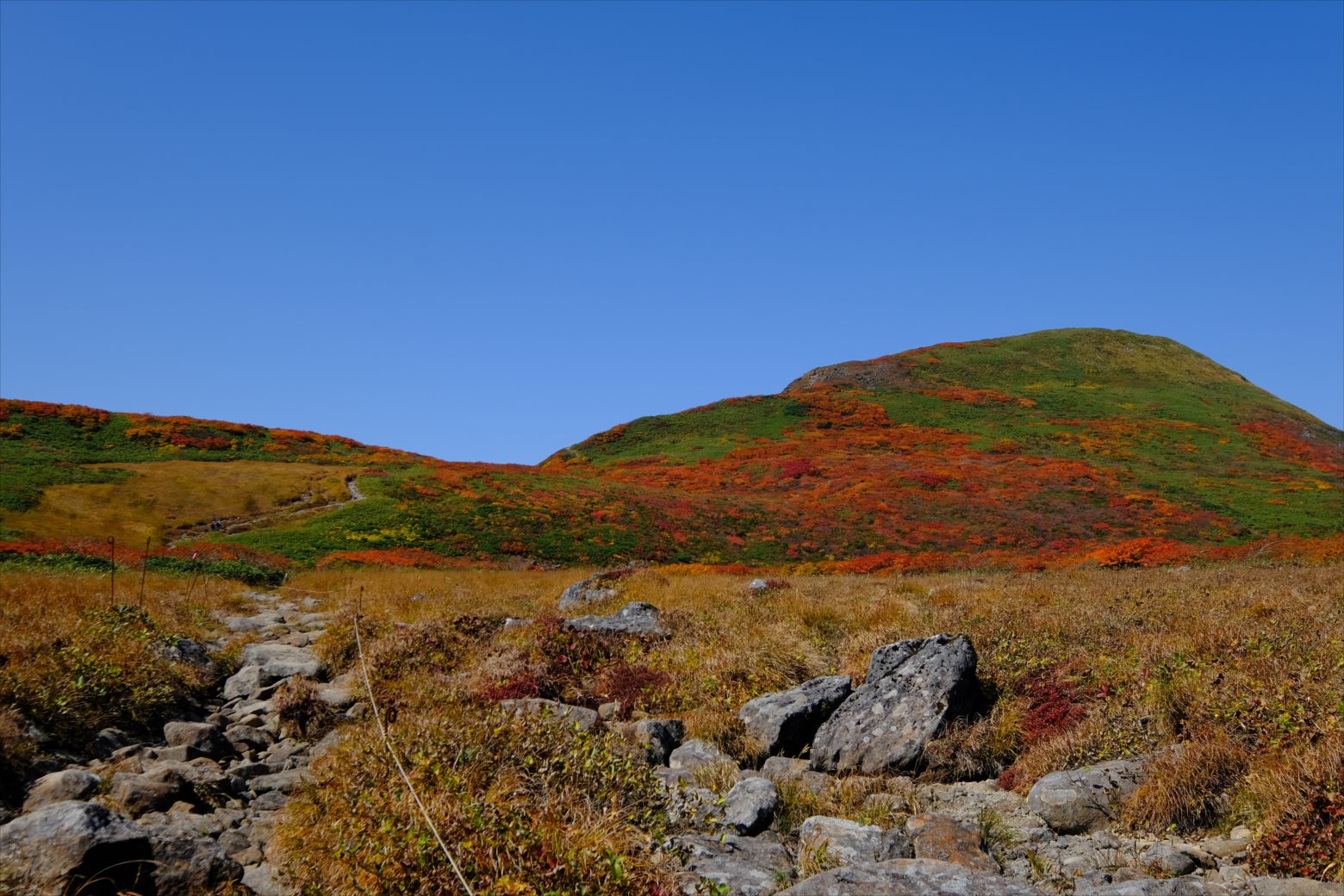 【紅葉登山】焼石岳 (39)
