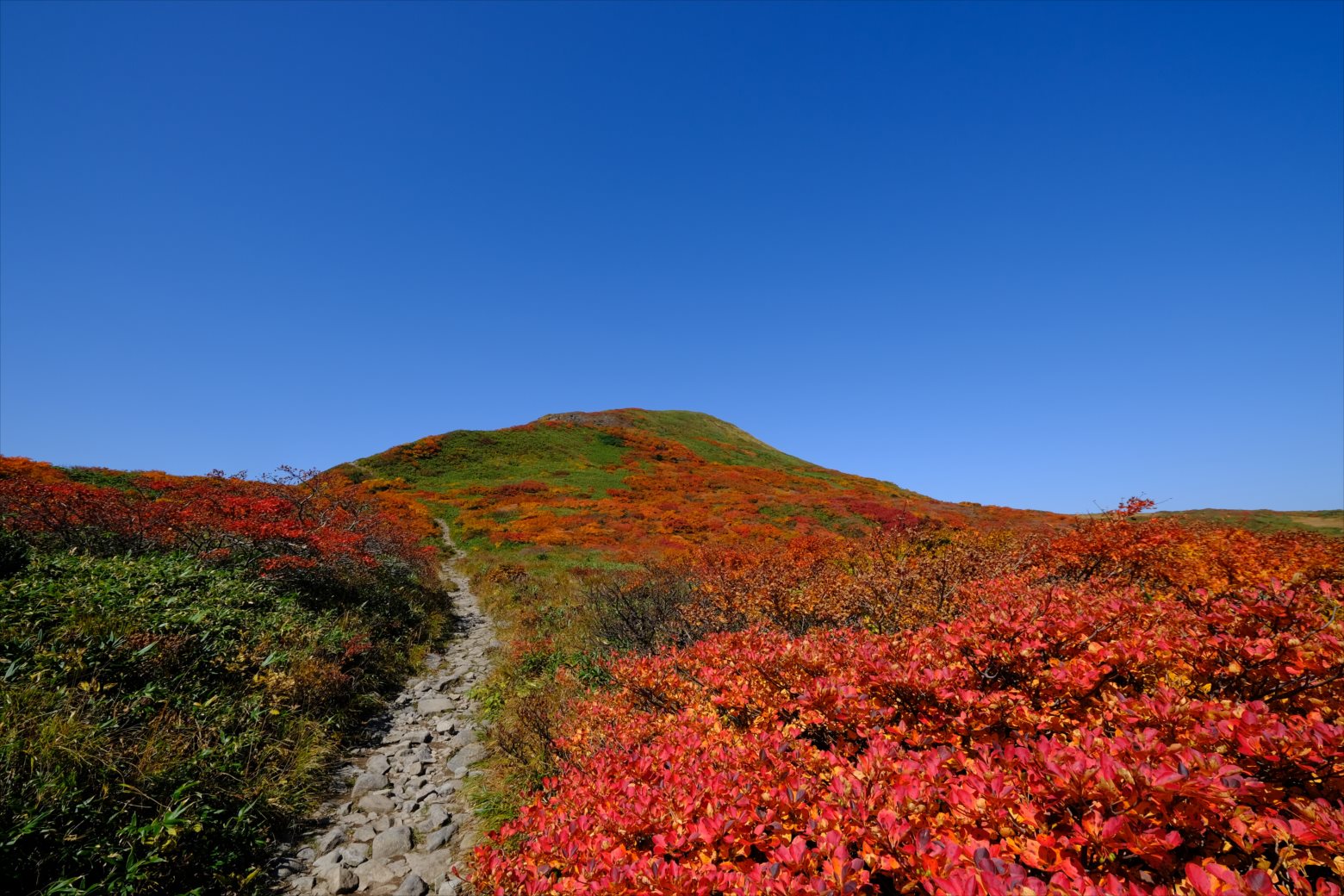【紅葉登山】焼石岳 (41)