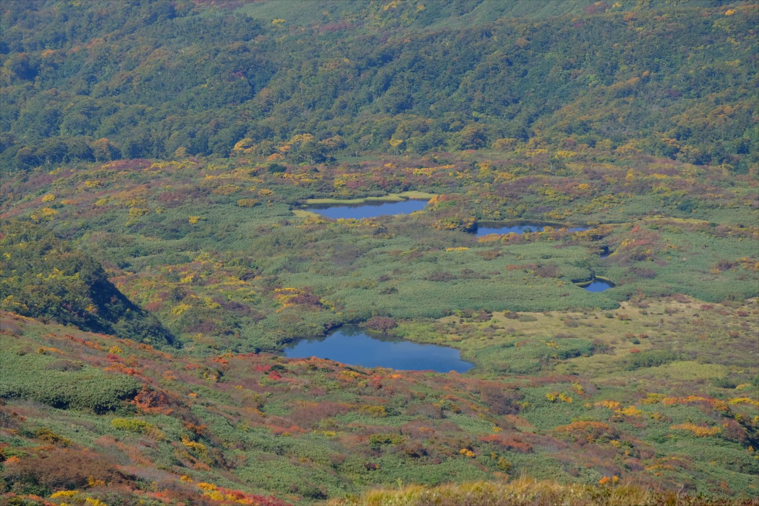 【紅葉登山】焼石岳 (47)