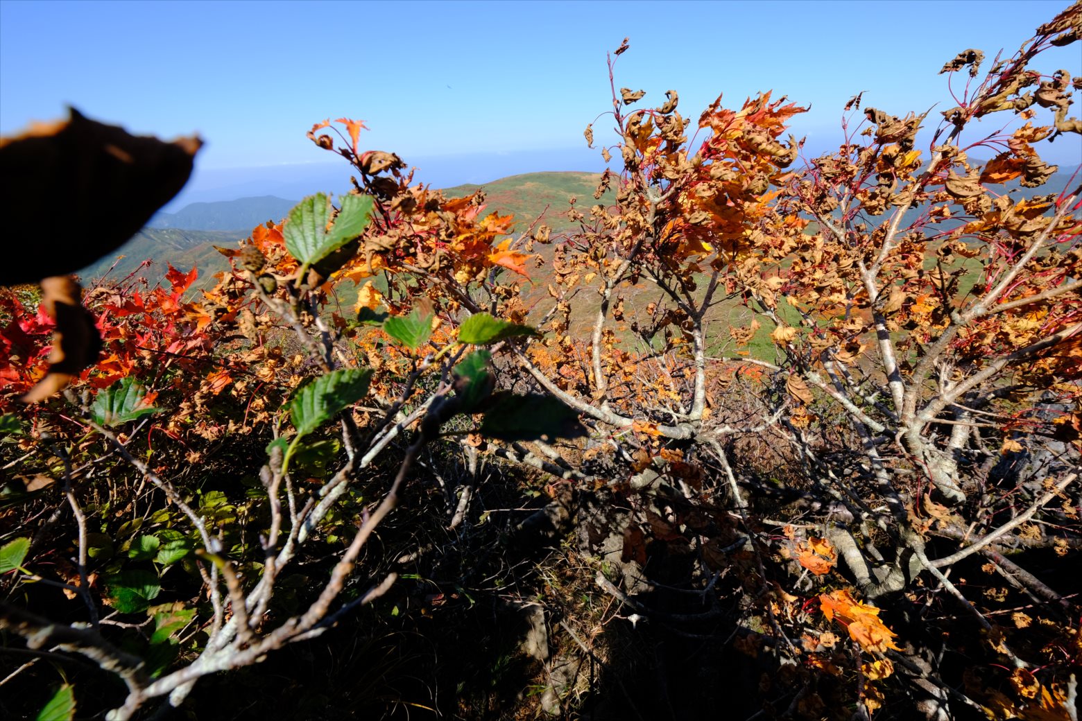 【紅葉登山】焼石岳 (50)