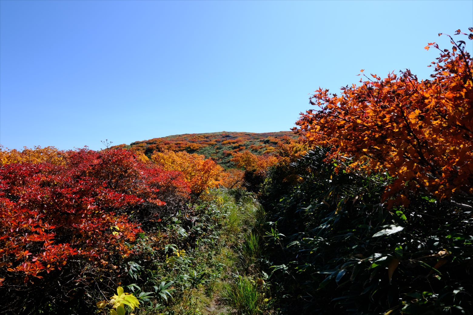 【紅葉登山】焼石岳 (62)