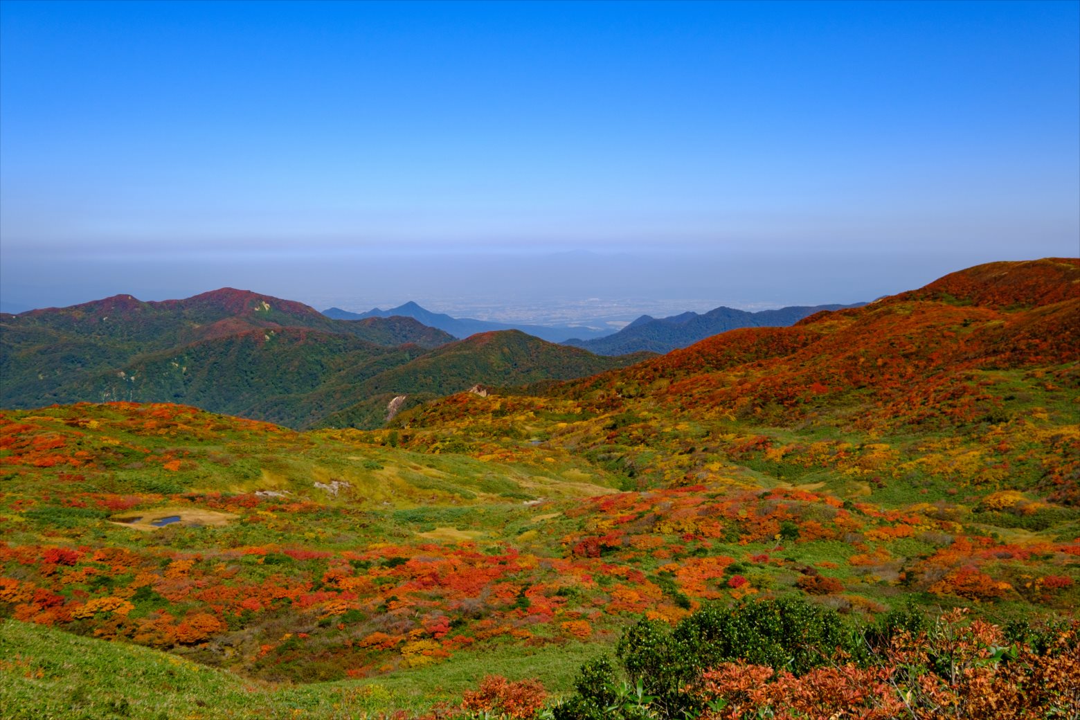 【紅葉登山】焼石岳 (63)