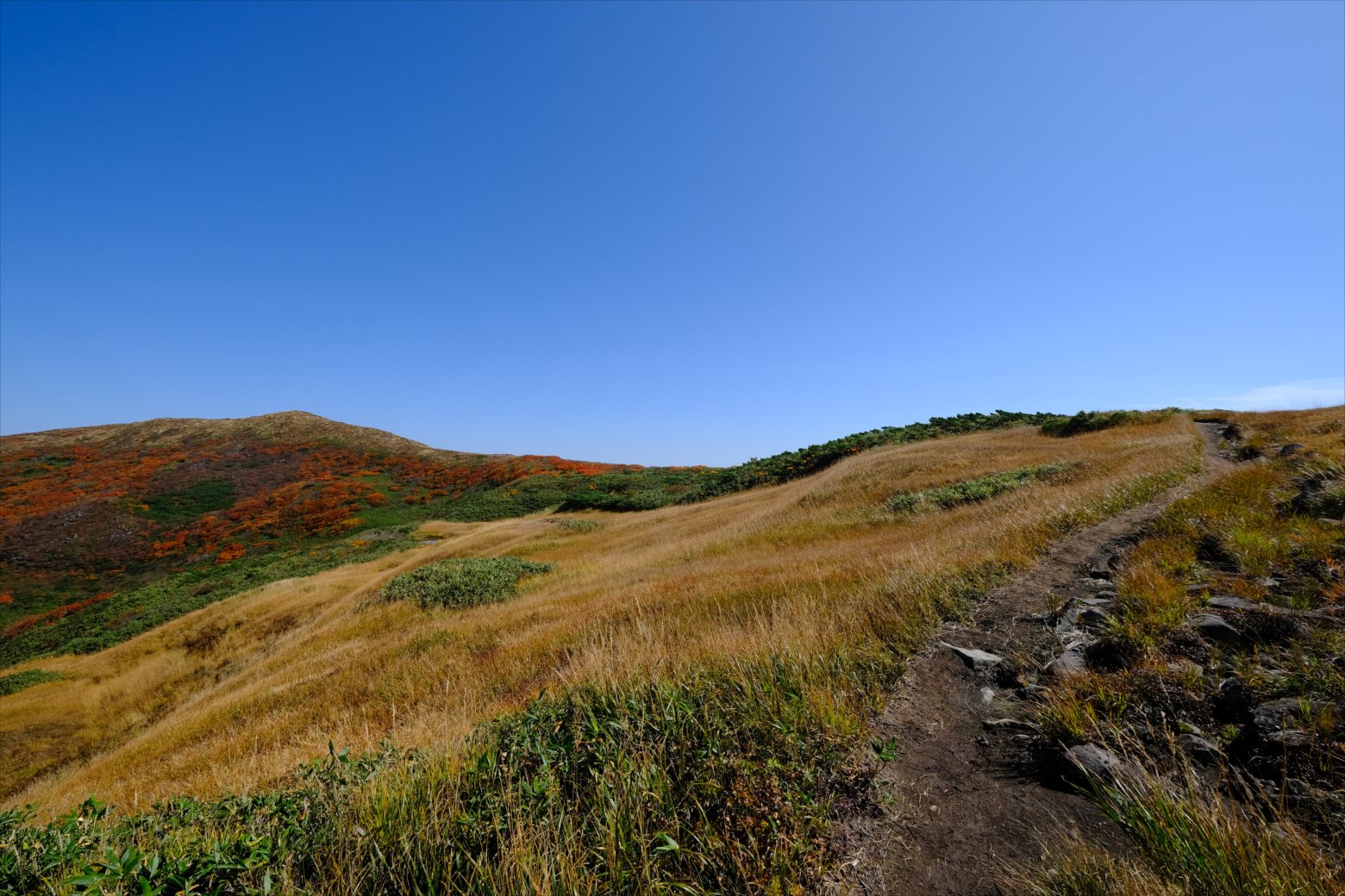 【紅葉登山】焼石岳 (64)