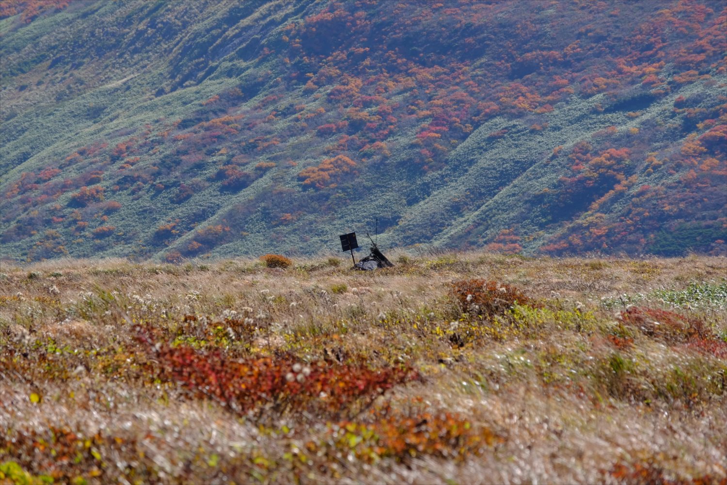 【紅葉登山】焼石岳 (66)