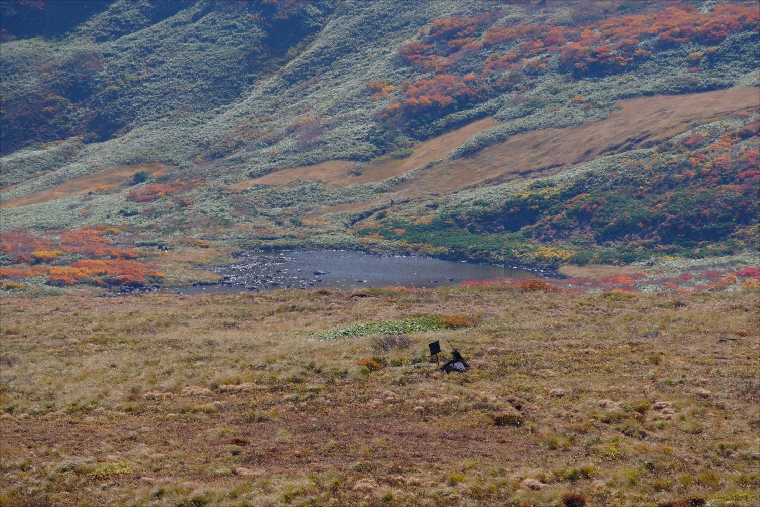 【紅葉登山】焼石岳 (73)