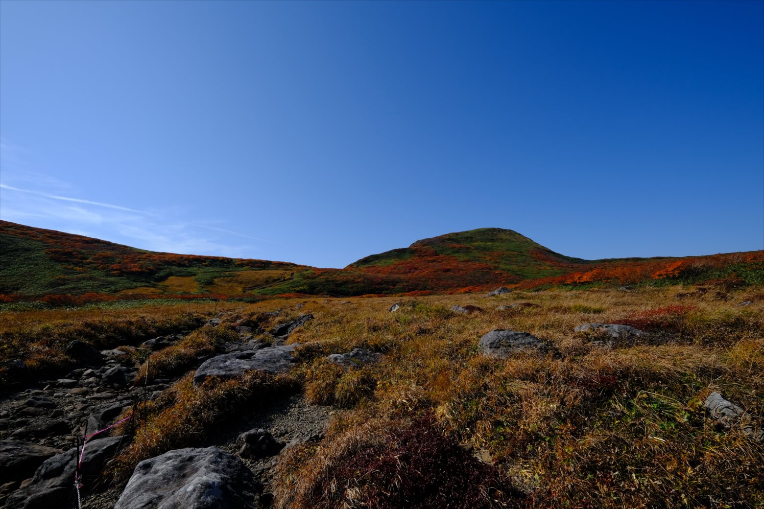 【紅葉登山】焼石岳 (75)