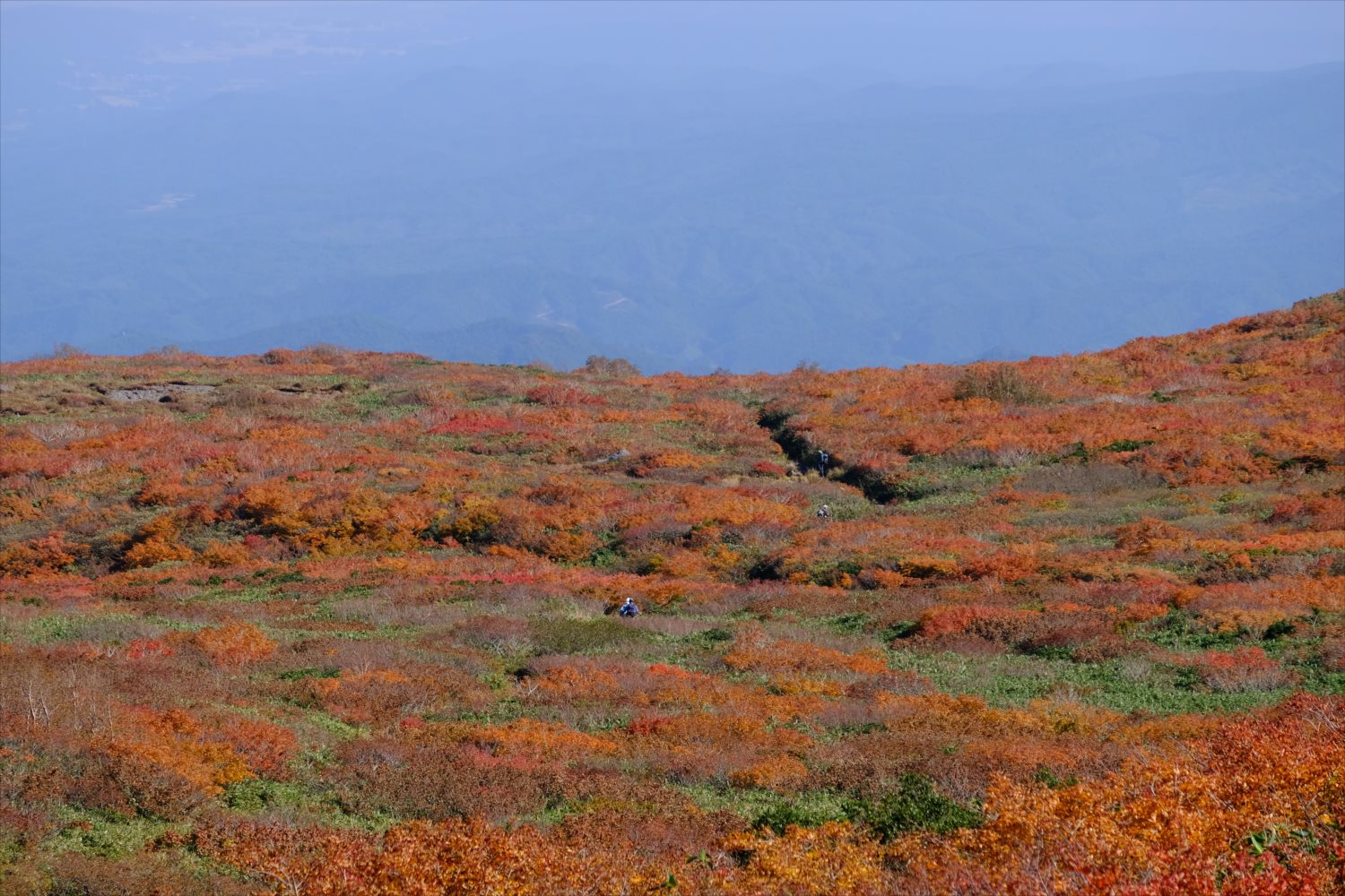 【紅葉登山】焼石岳 (76)