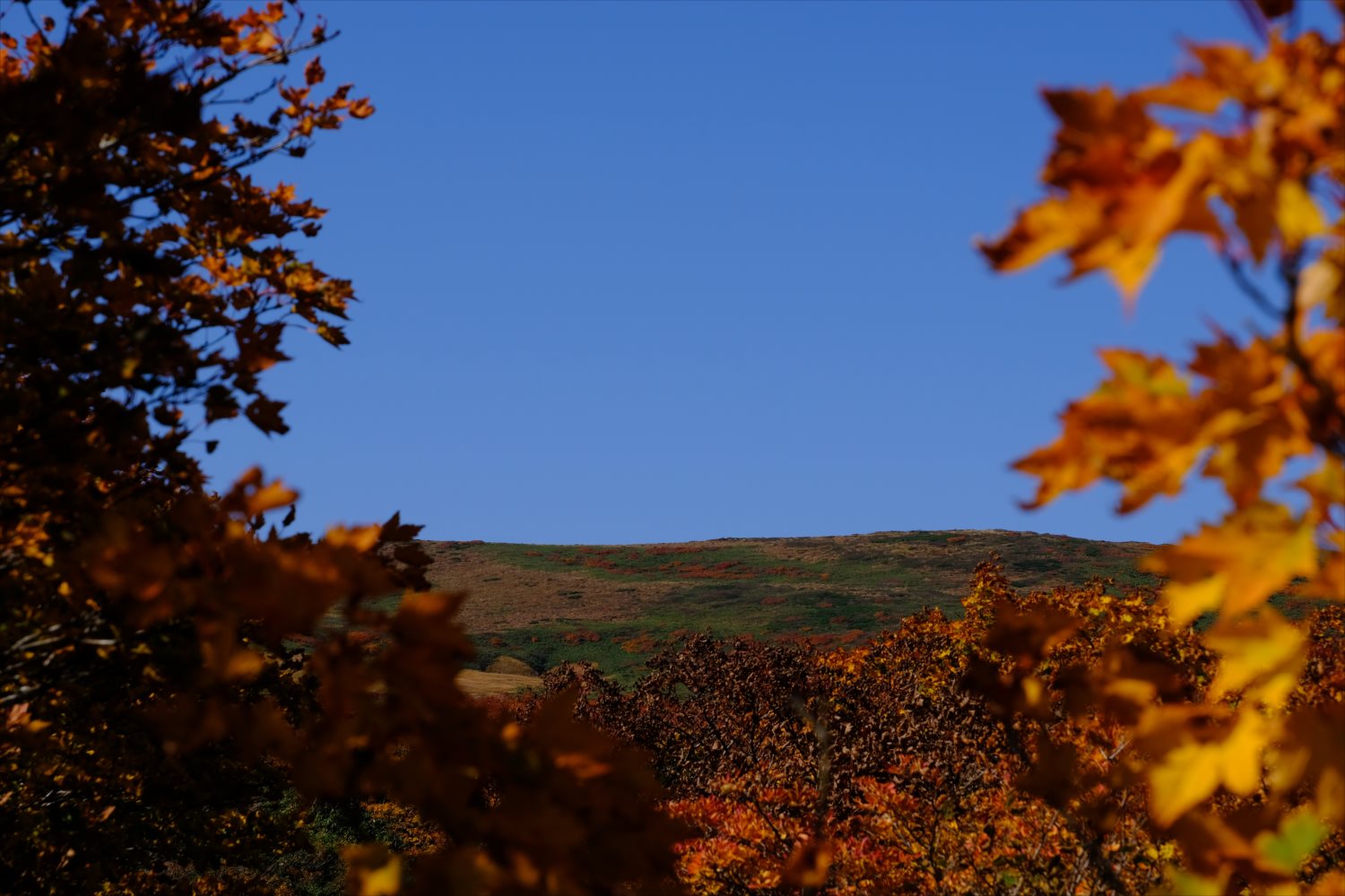 【紅葉登山】焼石岳 (78)