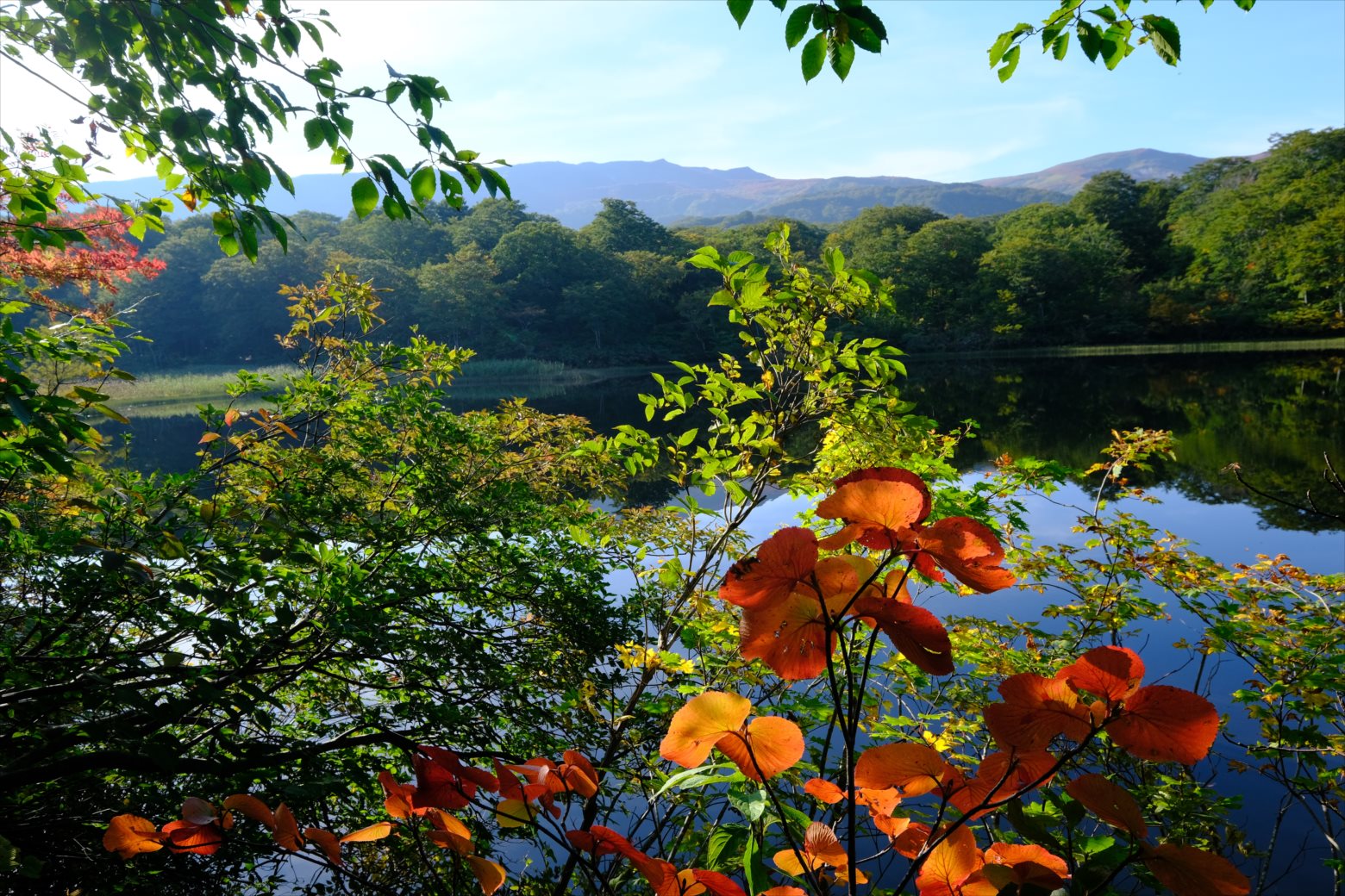 【紅葉登山】焼石岳 (84)